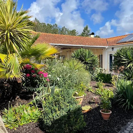 Oda ve Kahvaltı Casa Aguas Mansas Cadima