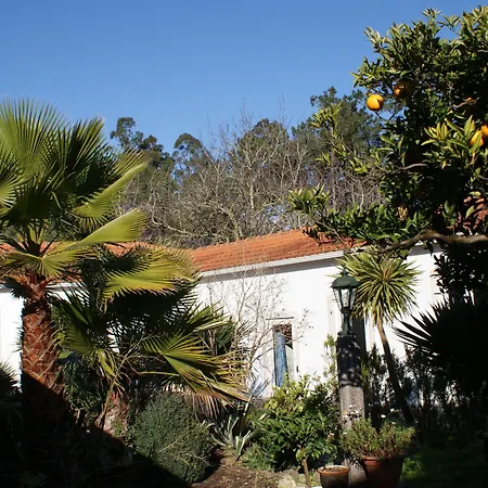 Casa Aguas Mansas Cadima